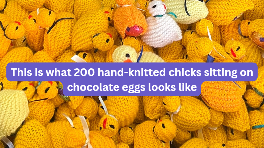 This is what 200 hand-knitted chicks sitting atop chocolate eggs looks like.